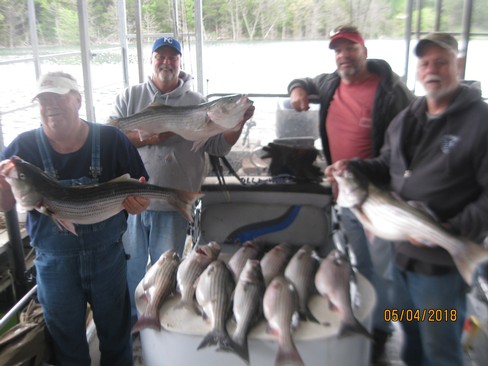 Nice Striped Bass
